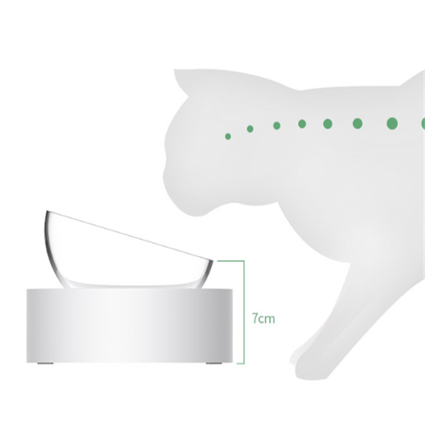 Double Clear or Double Steel Cat Bowl Set