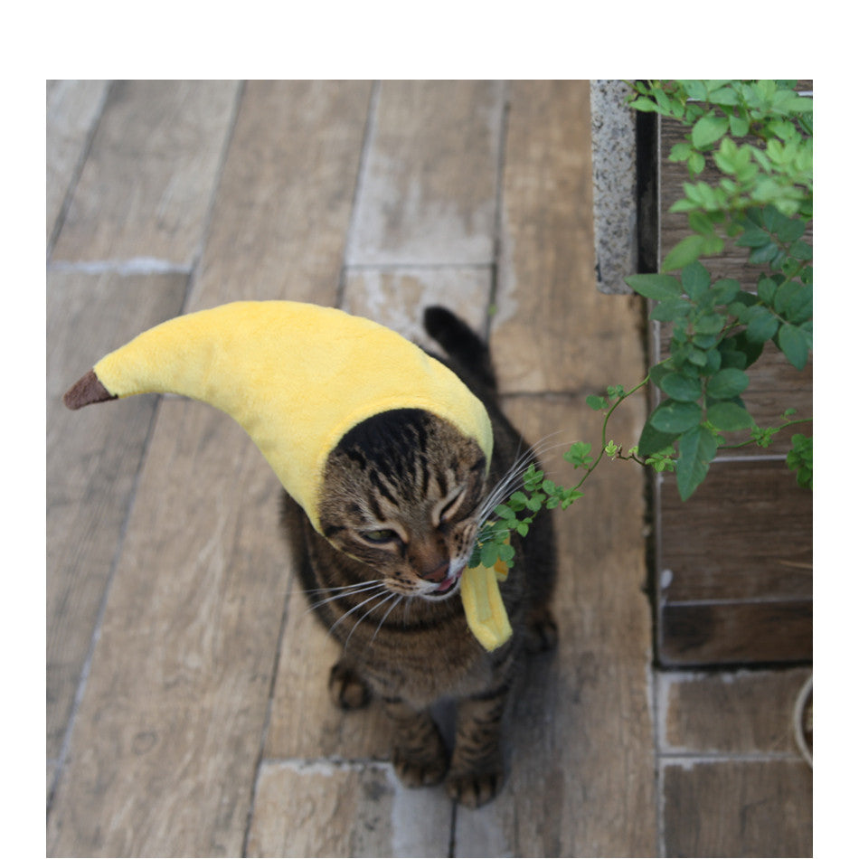 Cat Banana Head