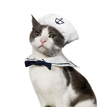 Cat Naval Sailor Suit