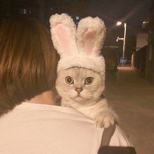 Plush Bunny Ears