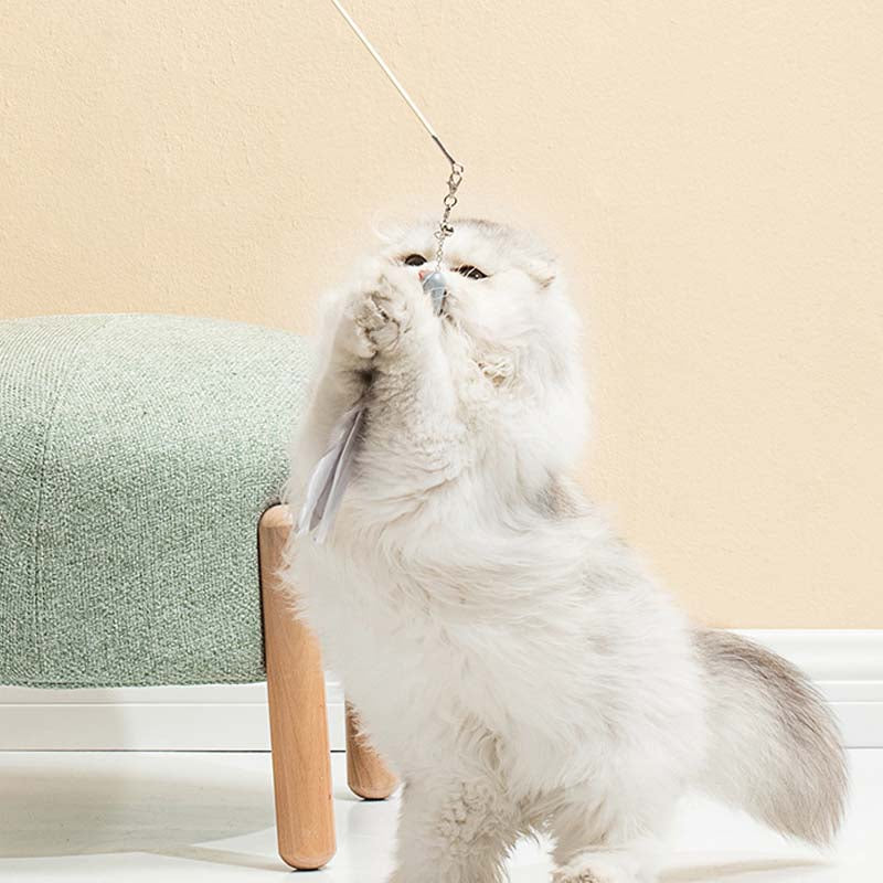 Adjustable Cat Toy Feather Set