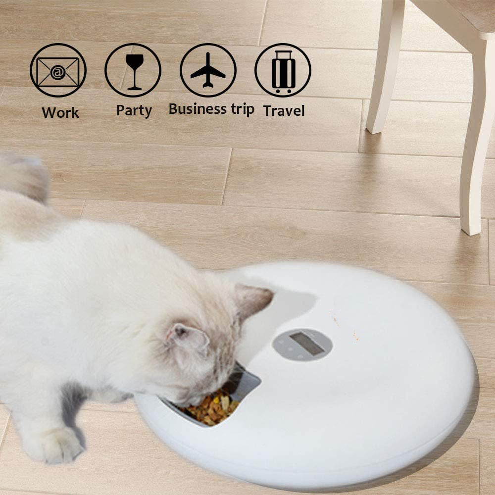 6-Meal Circular Automatic Cat Feeder