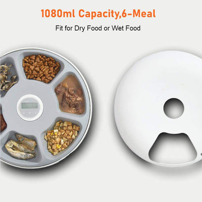 6-Meal Circular Automatic Cat Feeder