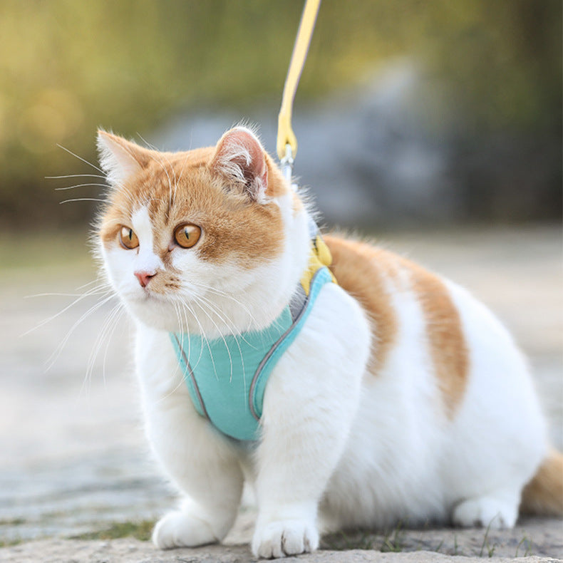 Colorful Vest-Style Cat Harness Set