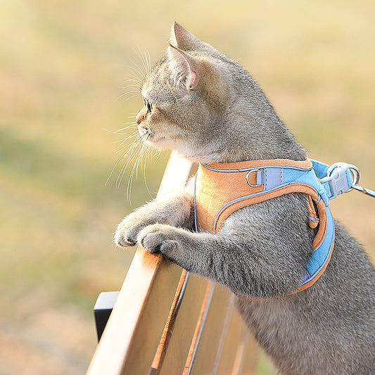 Colorful Vest-Style Cat Harness Set