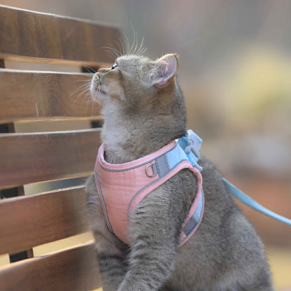 Colorful Vest-Style Cat Harness Set