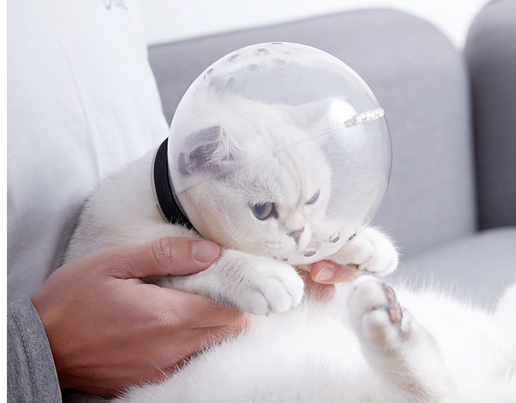 Anti-Bite Cat Space Helmet