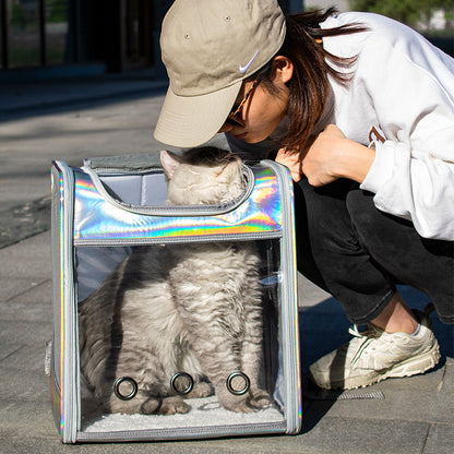 Transparent Silver & Gold Gloss Cat Backpack