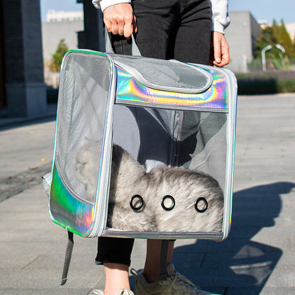 Transparent Silver & Gold Gloss Cat Backpack