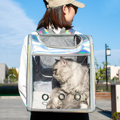 Transparent Silver & Gold Gloss Cat Backpack