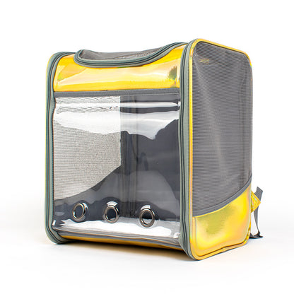 Transparent Silver & Gold Gloss Cat Backpack