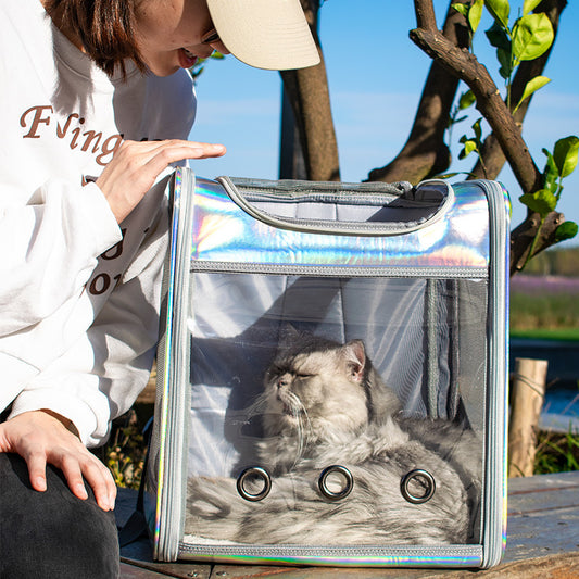 Transparent Silver & Gold Gloss Cat Backpack