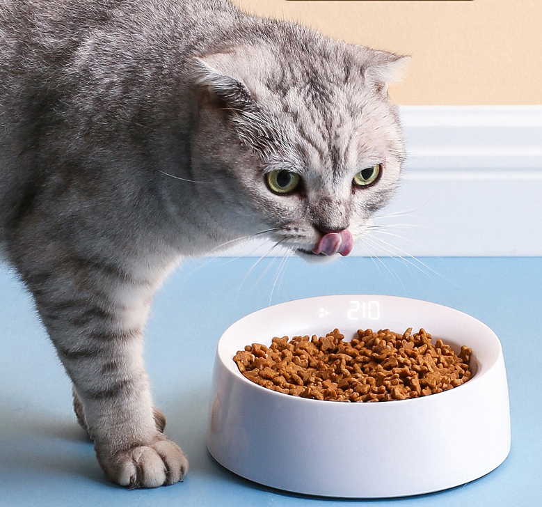 Smart Weighing Cat Bowl Feeder