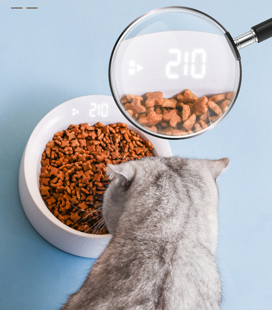 Smart Weighing Cat Bowl Feeder