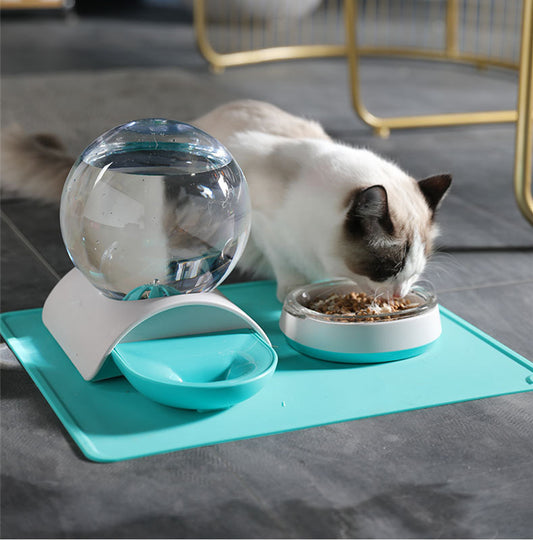 Transparent Dome Cat Bowl Set