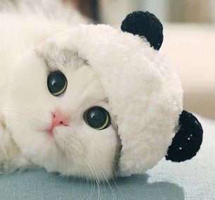 Panda Head