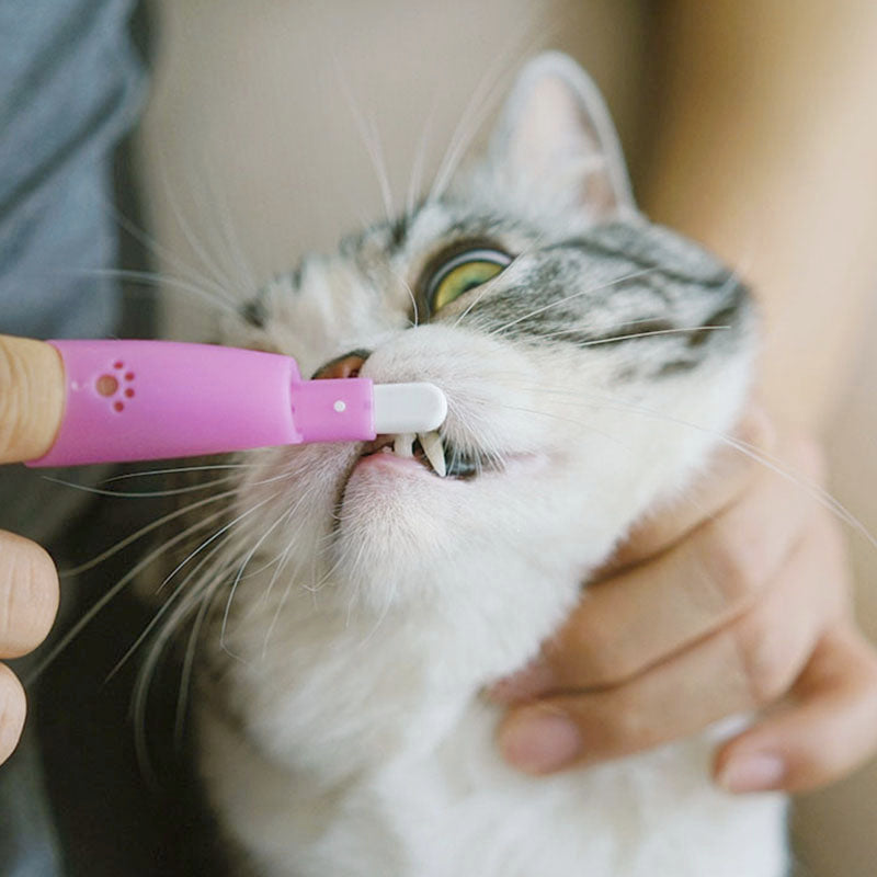 Cat Finger Toothbrush