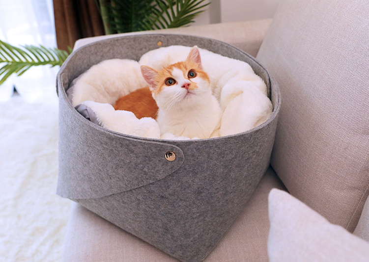 Cat Sushi Roll Bed