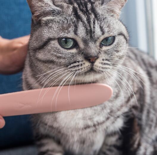 Cat Tongue Simulator Brush