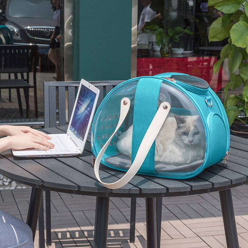 Blue Transparent Cat Carrier bag