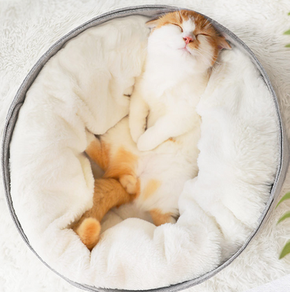 Cat Sushi Roll Bed