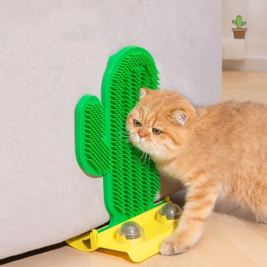 Self-Grooming Cactus Hair Brush Corner