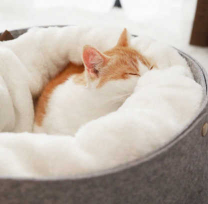 Cat Sushi Roll Bed