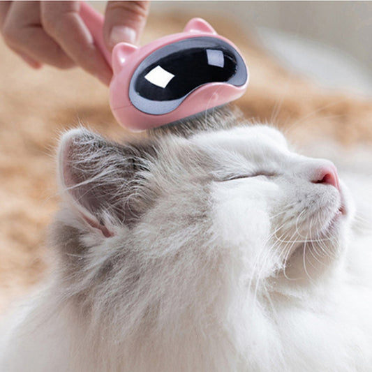 Space Cat Head Message Brush