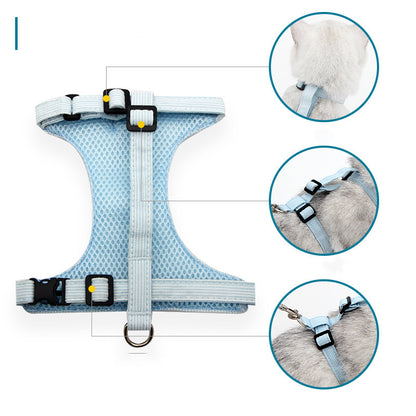 Beautiful Bow-Tie Style Harness & Leash