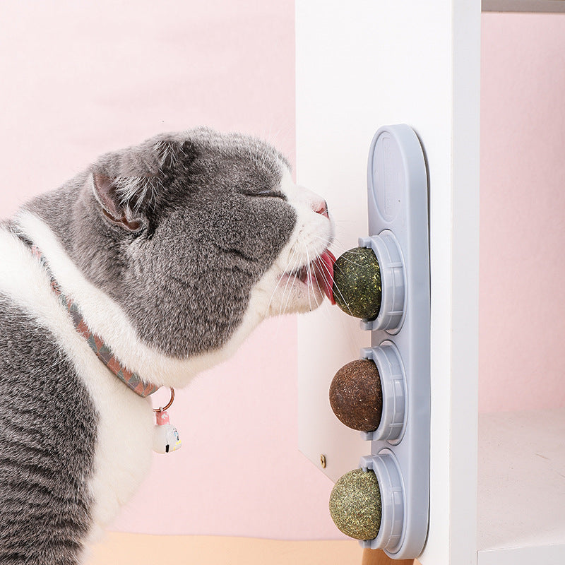 Biting & Tasty Catnip Plater