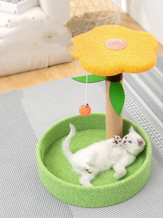 Fun & Cute Scratching Posts