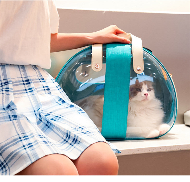 Blue Transparent Cat Carrier bag