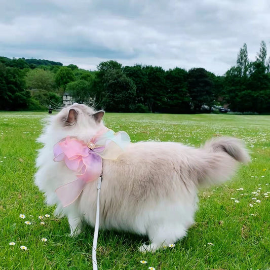 Beautiful Butterfly Ribbon Cat Collar