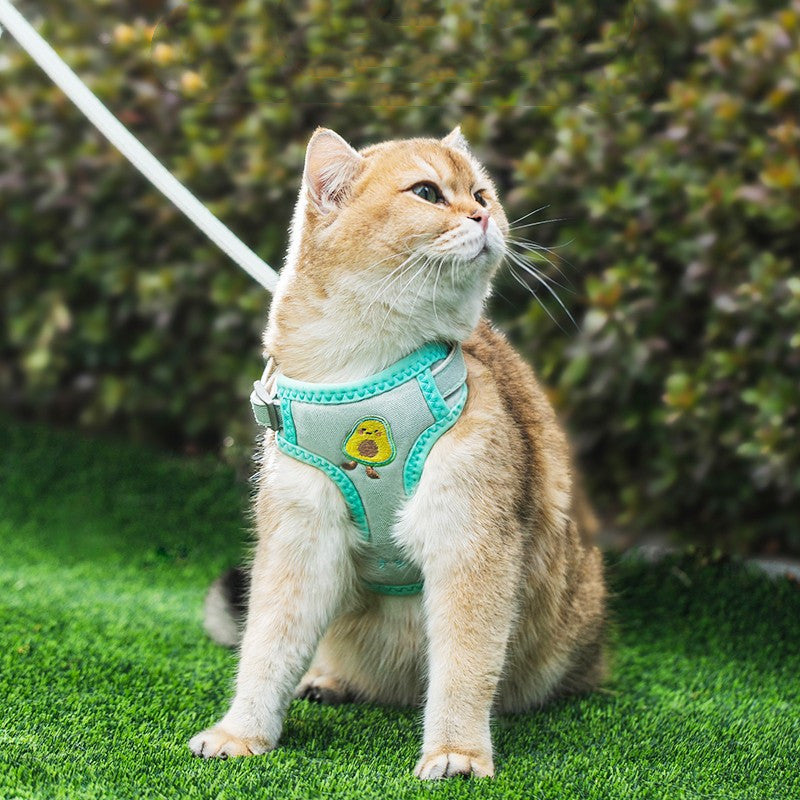 Cute Cat Backpack Harness Set